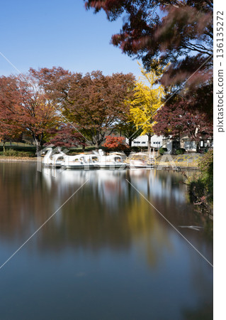 中川河濱公園的天鵝船與秋葉 136135272