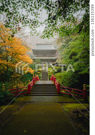 Autumn leaves and the temple gate at Unganji Temple on a rainy day 136135399