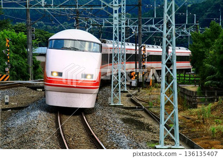 暢遊日光♪ 前往日光和鬼怒川的豪華特快列車…東武特急「草莓太空」100系 暢遊日光♪ 前往日光和鬼怒川的豪華特快列車…東武特急「草莓太空」100系 136135407