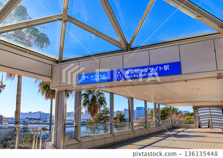Tokyo, Koto Ward, Ariake, Yurikamome Line, Tokyo Big Sight Station 136135448