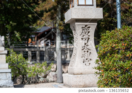 Lanterns at Hirota Shrine Lanterns at Hirota Shrine 136135652
