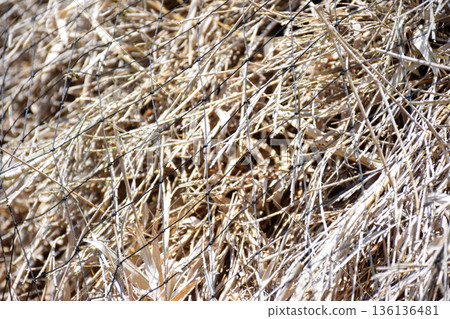 老房子屋簷下的茅草屋頂圖片 136136481