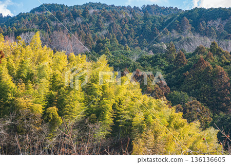 奈良縣飛鳥村的冬季梯田 136136605