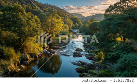 Landscape of a river flowing through a green forest and golden light 136137888