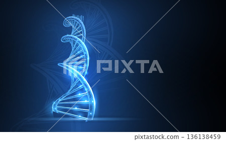 DNA. Abstract 3d polygonal wireframe dna molecule helix spiral on white background. DNA. Abstract 3d polygonal wireframe dna molecule helix spiral on white background. 136138459