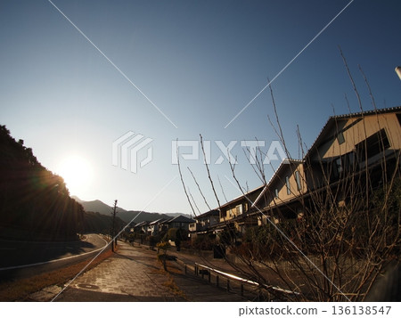 Residential area illuminated by the setting sun 136138547