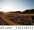 Rice fields and trains illuminated by the setting sun 136138553