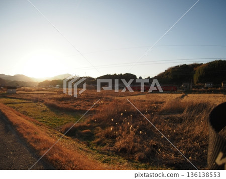 夕陽照亮了稻田和火車。 136138553