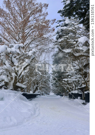 Kakunodate, Samurai Residence Street, and Aoyagi Residence in winter (Semboku City, Akita Prefecture) Kakunodate, Samurai Residence Street, and Aoyagi Residence in winter (Semboku City, Akita Prefecture) 136138561