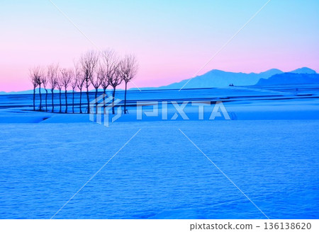 Snowy field of parsley at dawn, Echigo Sanzan winter scenery Snowy field of parsley at dawn, Echigo Sanzan winter scenery 136138620