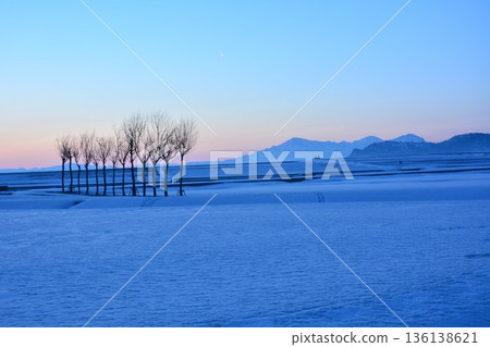 Snowy field of parsley at dawn, Echigo Sanzan winter scenery 136138621
