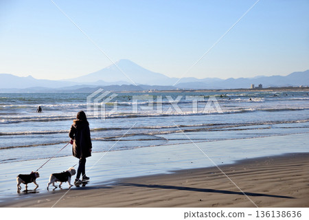 一位女士在久沼海灘遛兩隻狗,背景是富士山。 一位女士在久沼海灘遛兩隻狗,背景是富士山。 136138636