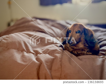 躺在榻榻米上的身影，散發著慈悲之氣。 136138693