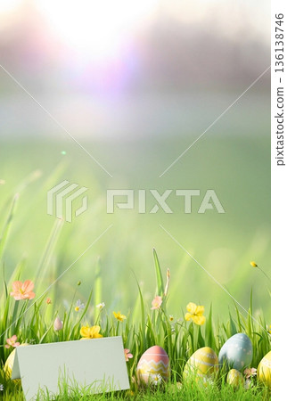 Easter eggs and greeting card in spring grass 136138746