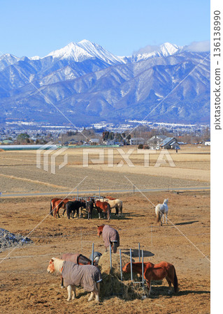 Horse Land Azumino Horses and the Northern Alps 136138990