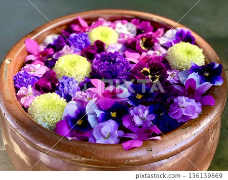 February's flower water fountain (oxalis, sweet pea, pansy, and ping pong mum) at Sugao Shrine in Okazaki, Aichi Prefecture 136139869