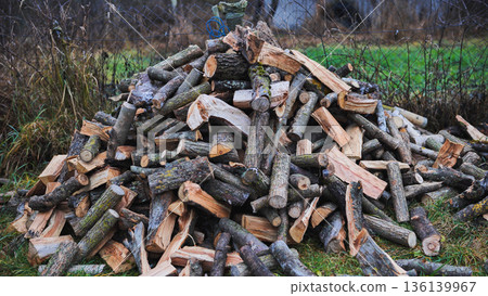 Unloading firewood and throwing it in a pile. Close-up. 136139967
