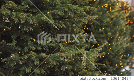Christmas trees with shining fairy lights decorating Moscow during winter holidays Christmas trees with shining fairy lights decorating Moscow during winter holidays 136140454