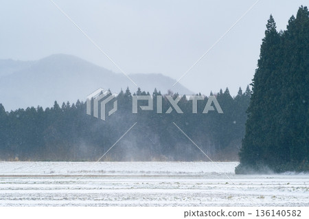 暴風雪和森林景色 a-2 冷色調 暴風雪和森林景色 a-2 冷色調 136140582