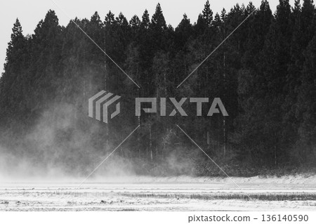 暴風雪與森林景觀 c-3 單色 暴風雪與森林景觀 c-3 單色 136140590