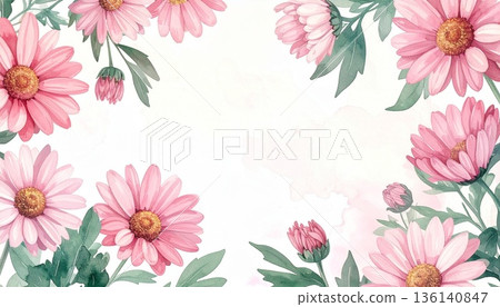 水彩風格的花框，飾以柔和的粉紅色萬壽菊：適用於慶祝活動、春季唱片和社交媒體的背景素材 136140847
