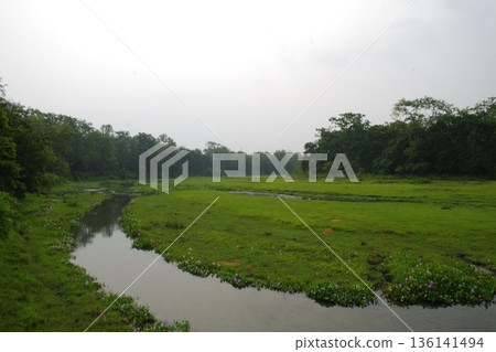 尼泊爾世界遺產奇特旺國家公園 尼泊爾世界遺產奇特旺國家公園 136141494