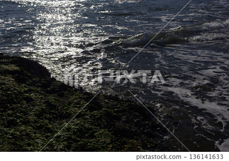 大洗海岸。冬日的海面平靜。潮水正在上漲。乾枯的海藻在海浪的拍打下閃閃發光。 136141633
