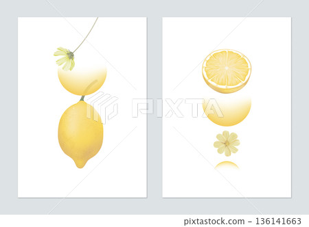 Abstract poster template design, lemons with cosmos flowers on white 136141663