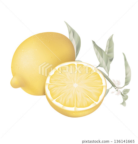 Fresh lemon and a slice portion with leaves on white 136141665