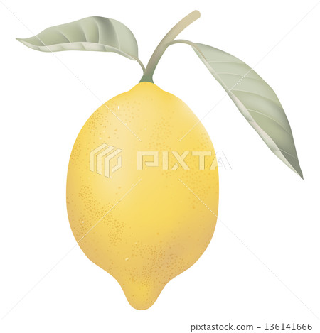 Fresh lemon with leaves on white 136141666