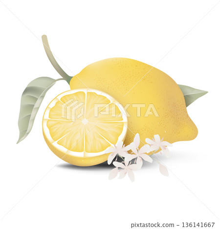 Fresh lemon and a slice portion with leaves on white 136141667