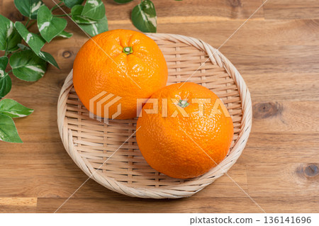 Iyokan: Domestic citrus fruit ingredients served on a bamboo basket Iyokan: Domestic citrus fruit ingredients served on a bamboo basket 136141696