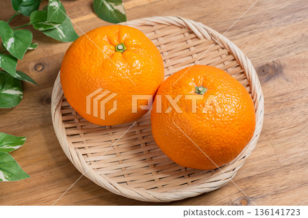 Iyokan: Domestic citrus fruit ingredients served on a bamboo basket Iyokan: Domestic citrus fruit ingredients served on a bamboo basket 136141723