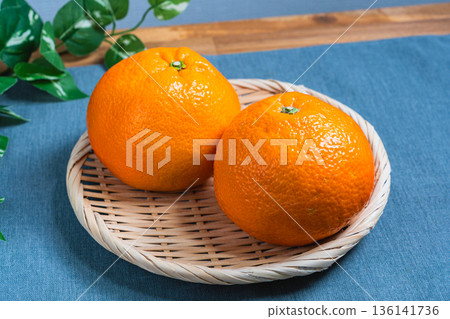 伊予館：竹籃盛裝的國產柑橘類水果食材 136141736