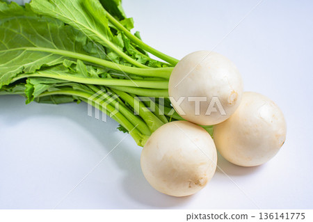 白色背景上的小蘿蔔和葉子 136141775