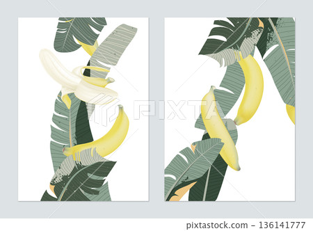 Fruit poster template design, ripe Cavendish bananas and leaves on white 136141777