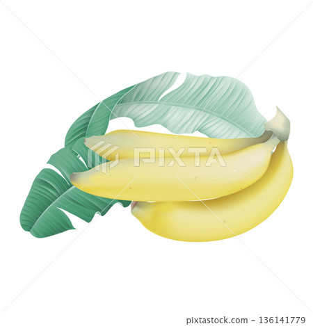 Ripe Cavendish bananas with leaves on white Ripe Cavendish bananas with leaves on white 136141779