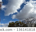 Clear blue sky and shade 136141818