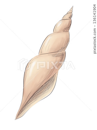 海螺 海螺 136141904