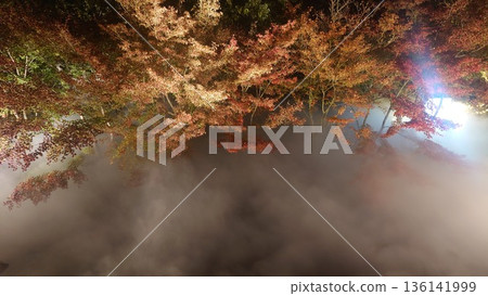 秋葉被點燃了 136141999