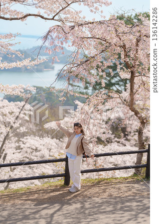 Woman tourist sightseeing Sakura Cherry Blossom in Spring. Happy traveler travel at Saigyo Modoshi no Matsu over Matsushima Bay in Matsushima, Miyagi Prefecture, Japan. Famous Landmark and Vacation 136142286