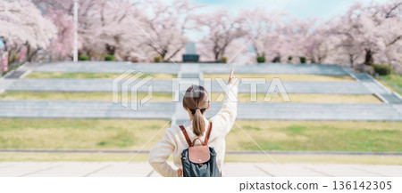 Woman tourist sightseeing Tendo Park or Maizuru Park with Sakura Cherry Blossom in Spring, happy traveler travel in Yamagata prefecture, Tohoku, Japan. famous Landmark for Travel and Vacation Woman tourist sightseeing Tendo Park or Maizuru Park with Sakura Cherry Blossom in Spring, happy traveler travel in Yamagata prefecture, Tohoku, Japan. famous Landmark for Travel and Vacation 136142305
