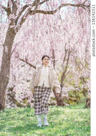 Woman tourist sightseeing Sakura Cherry Blossom in Spring, happy traveler travel in Tendo Park or Maizuru Park in Yamagata prefecture, Tohoku, Japan. famous Landmark for Travel and Vacation 136142311