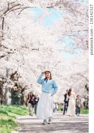 Woman tourist sightseeing Kitakami Tenshochi Park with Sakura Cherry Blossom in Spring, traveler travel in Kitakami festival, Iwate prefecture, Japan. Landmark for Travel and Vacation destination Woman tourist sightseeing Kitakami Tenshochi Park with Sakura Cherry Blossom in Spring, traveler travel in Kitakami festival, Iwate prefecture, Japan. Landmark for Travel and Vacation destination 136142327