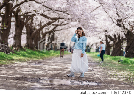 Woman tourist sightseeing Kitakami Tenshochi Park with Sakura Cherry Blossom in Spring, traveler travel in Kitakami festival, Iwate prefecture, Japan. Landmark for Travel and Vacation destination Woman tourist sightseeing Kitakami Tenshochi Park with Sakura Cherry Blossom in Spring, traveler travel in Kitakami festival, Iwate prefecture, Japan. Landmark for Travel and Vacation destination 136142328
