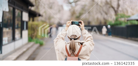 Woman tourist sightseeing and taking photo Sakura Cherry Blossom in Spring. traveler travel in Samurai village in Kakunodate town, Semboku District, Akita Prefecture, Japan. Landmark and vacation Woman tourist sightseeing and taking photo Sakura Cherry Blossom in Spring. traveler travel in Samurai village in Kakunodate town, Semboku District, Akita Prefecture, Japan. Landmark and vacation 136142335