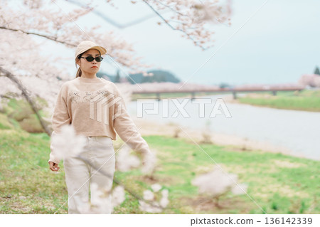 Woman tourist sightseeing Sakura Cherry Blossom in Spring. Happy traveler travel near Hinokinai River riverbank in Kakunodate town, Semboku District, Akita Prefecture, Japan. Landmark and Vacation 136142339