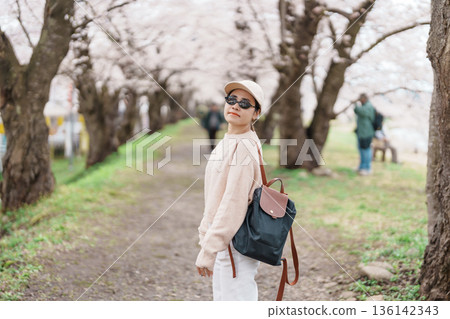 Woman tourist sightseeing Sakura Cherry Blossom in Spring. Happy traveler travel near Hinokinai River riverbank in Kakunodate town, Semboku District, Akita Prefecture, Japan. Landmark and Vacation 136142343