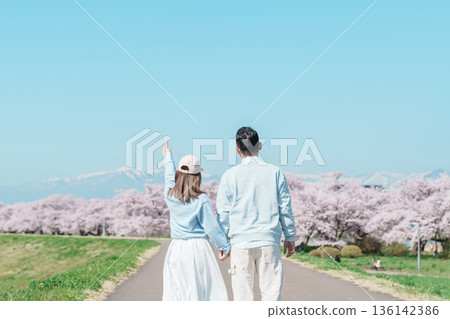 Couple tourist sightseeing Kitakami Tenshochi Park with Sakura Cherry Blossom in Spring, traveler travel in Kitakami festival, Iwate prefecture, Japan. Landmark for Travel and Vacation destination 136142386