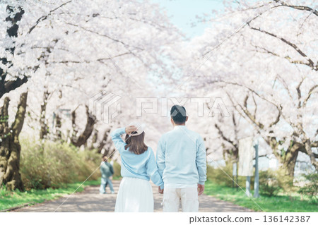 Couple tourist sightseeing Kitakami Tenshochi Park with Sakura Cherry Blossom in Spring, traveler travel in Kitakami festival, Iwate prefecture, Japan. Landmark for Travel and Vacation destination Couple tourist sightseeing Kitakami Tenshochi Park with Sakura Cherry Blossom in Spring, traveler travel in Kitakami festival, Iwate prefecture, Japan. Landmark for Travel and Vacation destination 136142387